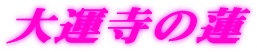^̘@ 