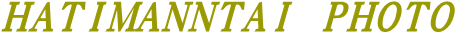 tHg