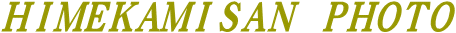 P_RtHg