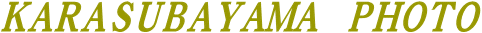 GR
