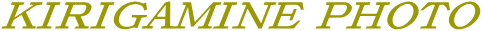 tHg