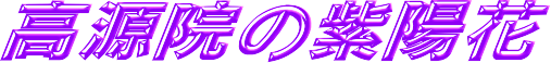 @̎z