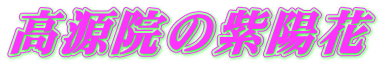 @̎z