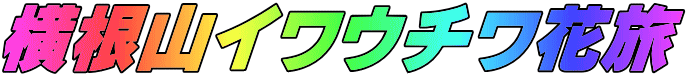 RCE`ԗ 