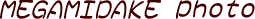 _x