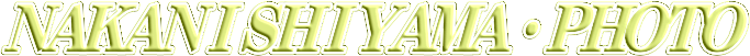 RtHg
