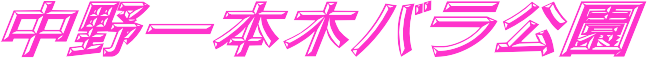 s{؃o
