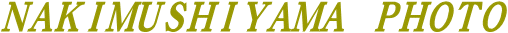 R