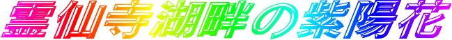 厛ΔȂ̎z