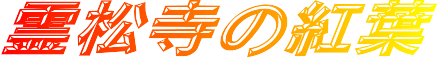 쏼̍gtFJGf