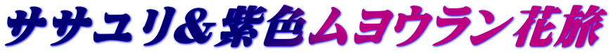 TTFEԗ 