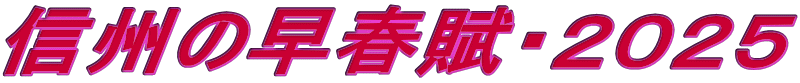 MB̑tEQOQT 