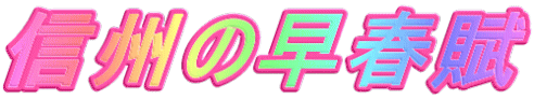MB̑t