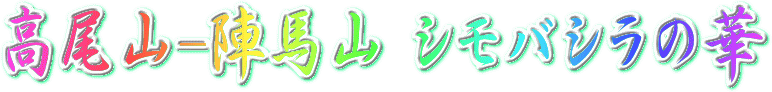 RVoV̉