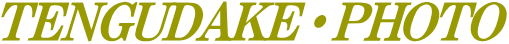 VxEVxtHg