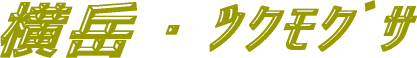 xE¸Ӹ޻