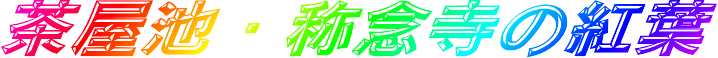 r̔O̍gtE