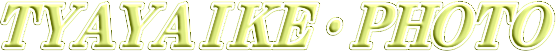 r̔O̍gtE