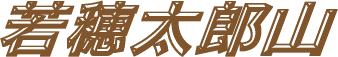 䑾YR