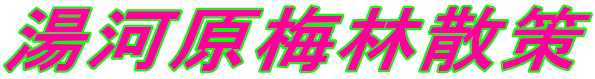 ͌~юU 