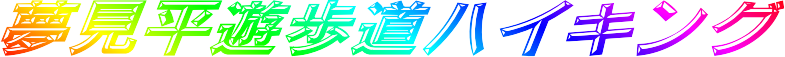 VnCLO